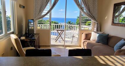WaveView - Rincon Apartment Rentals: Puntas 1 BR Condo w/ Ocean View