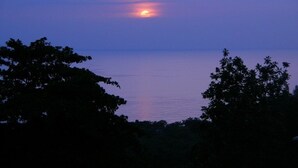 A sunset over a calm sea with silhouettes of trees in the foreground. - WaveView - Rincon Apartment Rentals:  Puntas 1  BR Condo w/ Ocean View (Puntas Rincon)