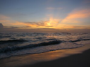 Playa en los alrededores y camastros 