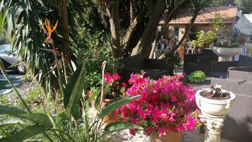 Terrein van de accommodatie