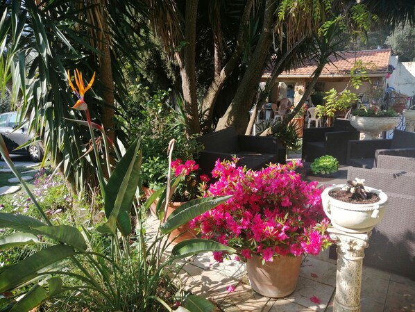 Àrea exterior de l'allotjament