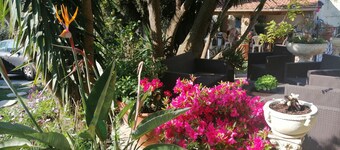 studio i huset til karakter privat basseng