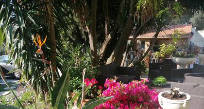 studio talo hahmo uima-allas