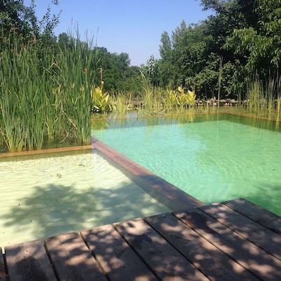 Superior-Category Country Houses in a Natural Park. Nature and comfort.
