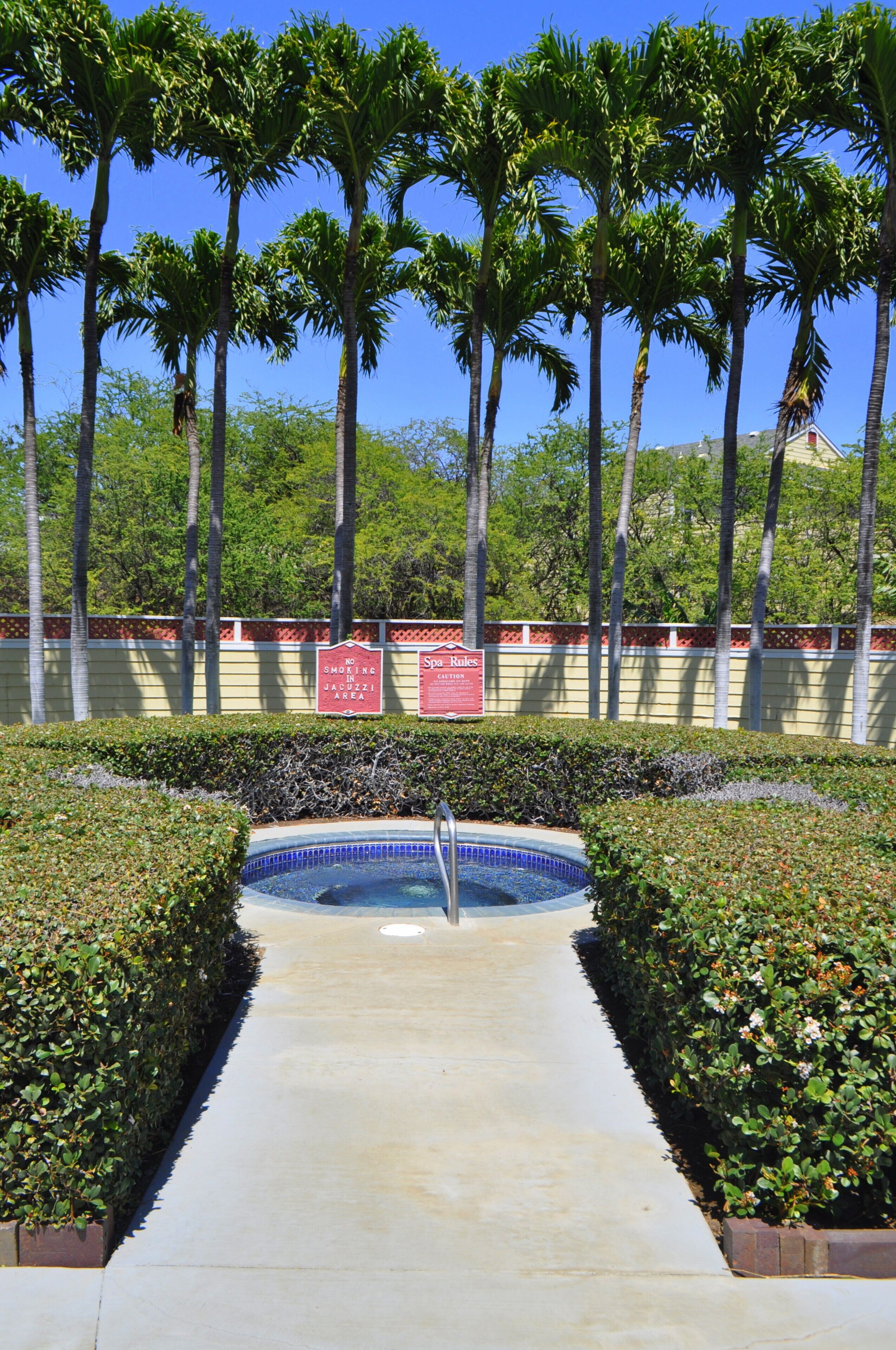 A pathway leading to a swimming pool surrounded by palm trees and a hedge.