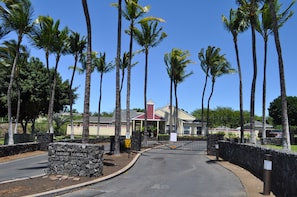 Welcome to Fairway Terrace, where palm trees line the driveway to a charming building with a red and white facade.