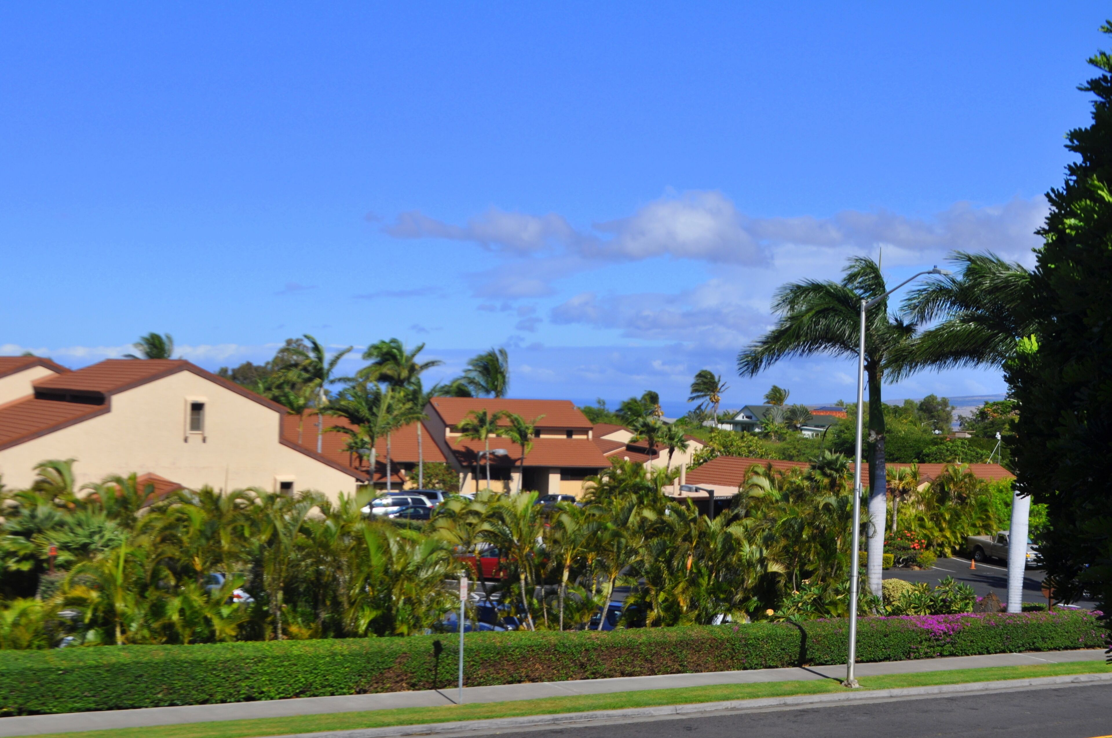 Zona residencial con varias casas, palmeras y un cielo azul despejado.