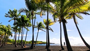 Ein Strand mit hohen Palmen und blauem Himmel.