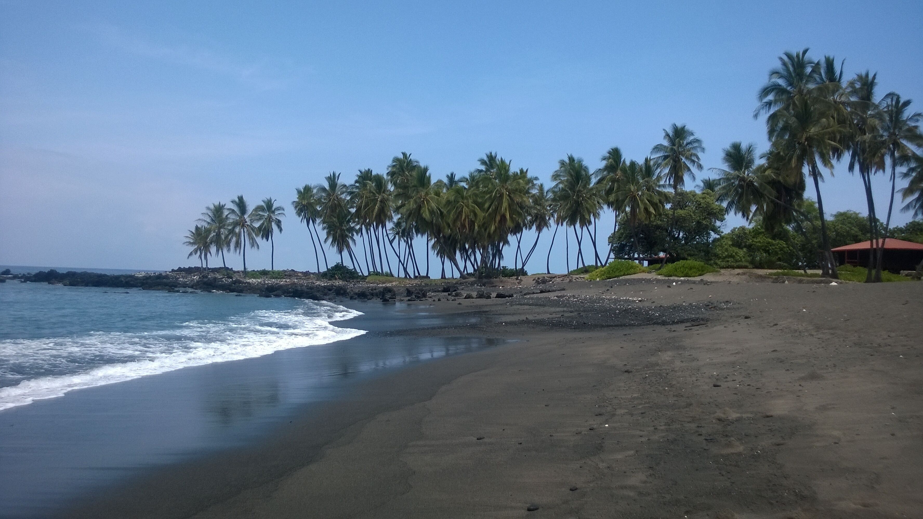 A beach with a rocky shoreline, palm trees, and a building with a red roof.