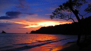 Une plage au coucher du soleil, avec des vagues, un arbre et une île au loin.