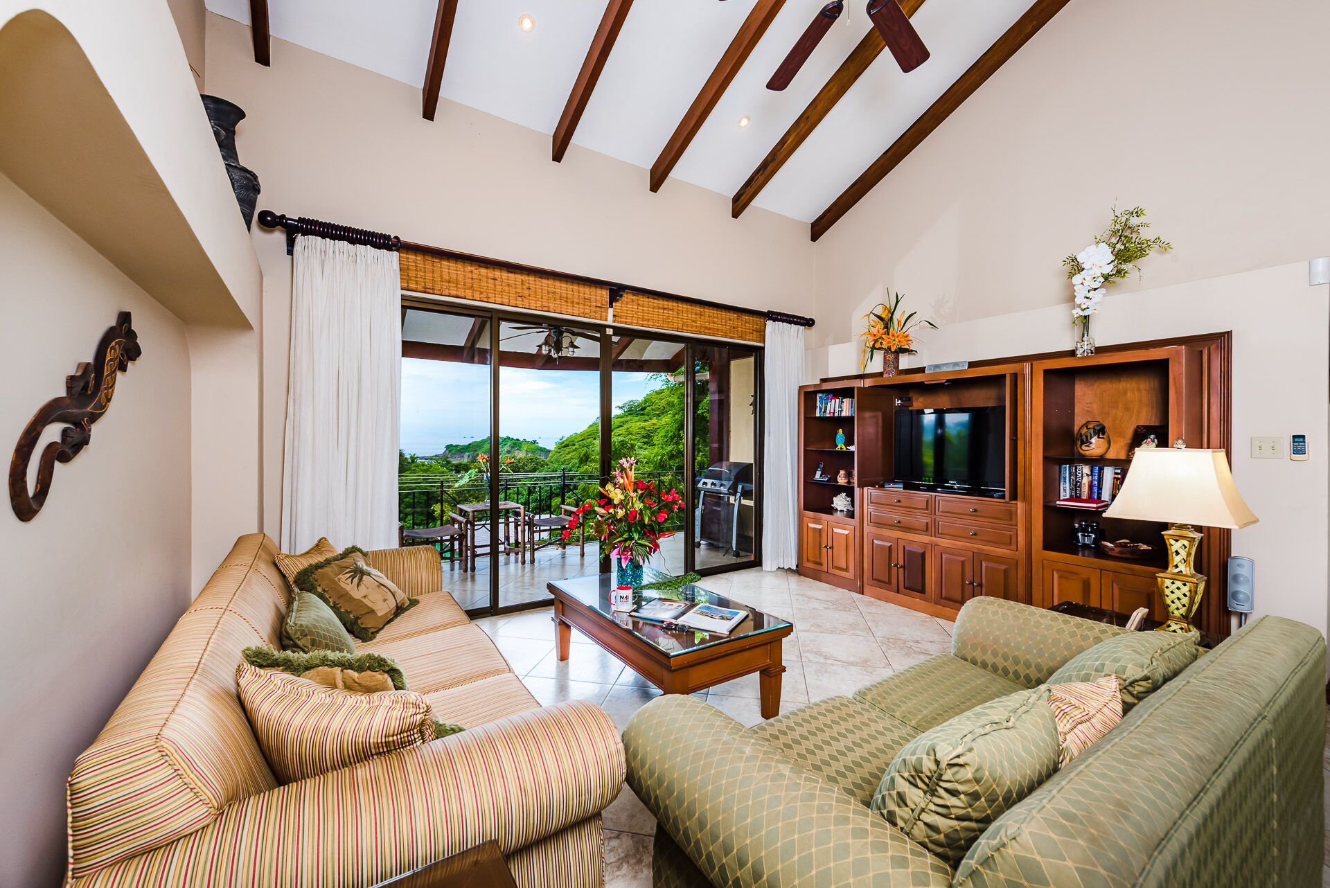 Smart TV, DVD player, books, music library