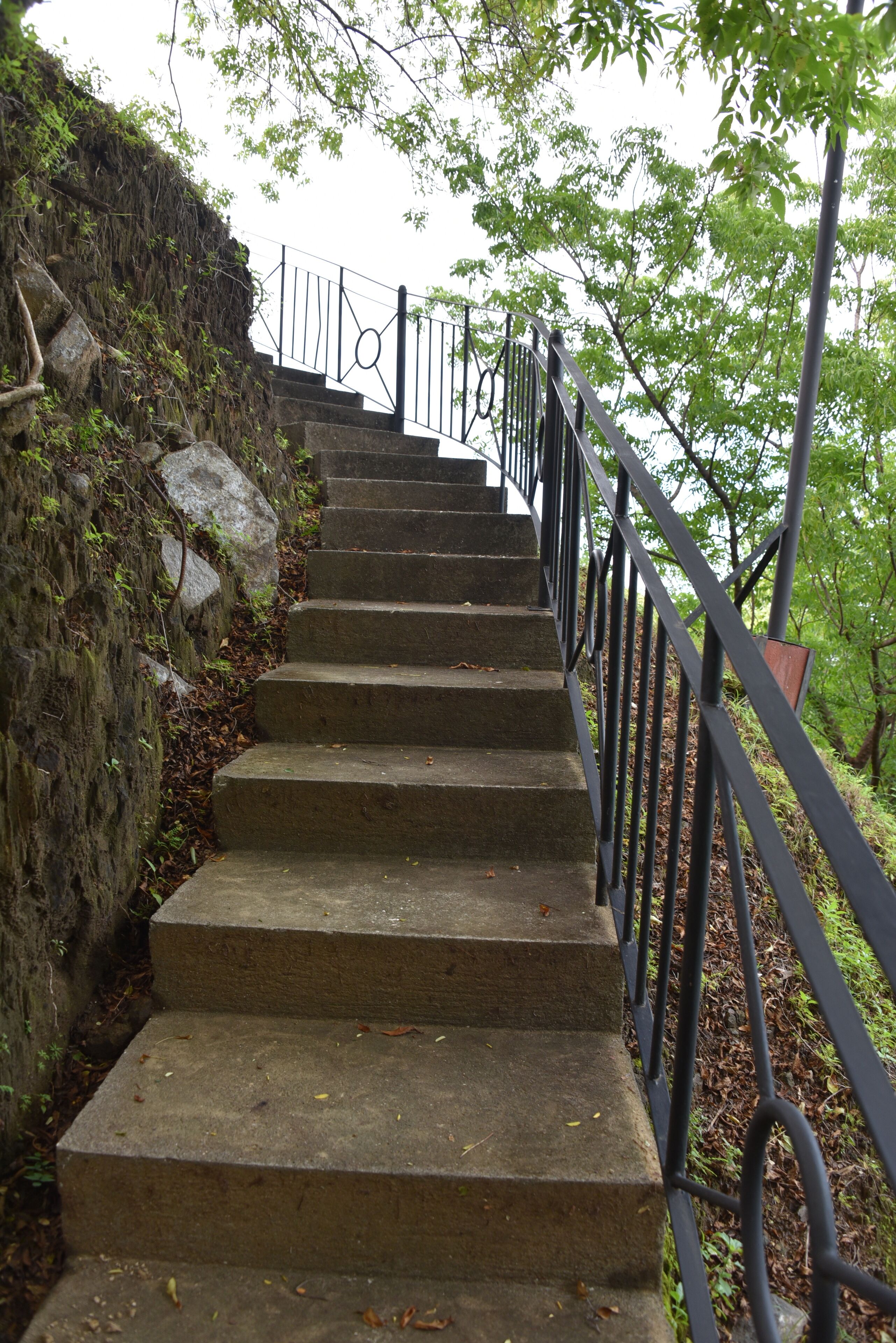 Un escalier en béton avec des rampes métalliques, entouré de verdure et de rochers.