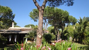 A garden with a tree, flowers, and a building with a tiled roof.