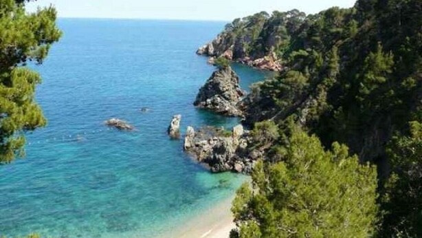 A coastal landscape with a beach, rocky outcrops, and dense greenery. - Big Apartment, Sea & Mountain views, private pool, close to amenities & IronMen  (Calella)