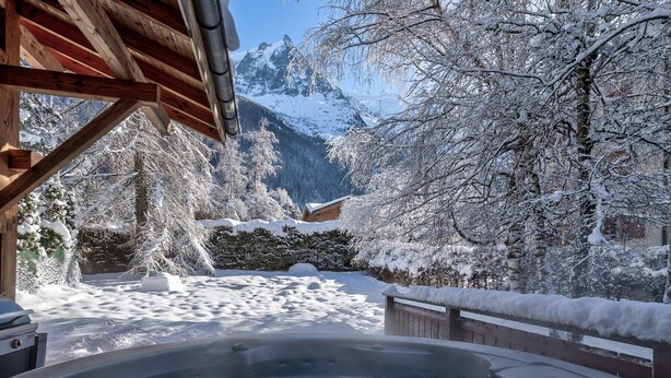 A hot tub area with a wooden roof, surrounded by snow-covered trees and mountains in the background.