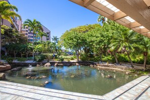 Piscina all'aperto, una piscina riscaldata