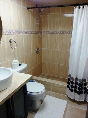 Shower, hair dryer, towels, toilet paper