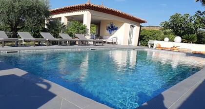 VILLA 8 PERS HEATED PRIVATE POOL IN THE HEART OF THE VAR BETWEEN SEA AND VERDON