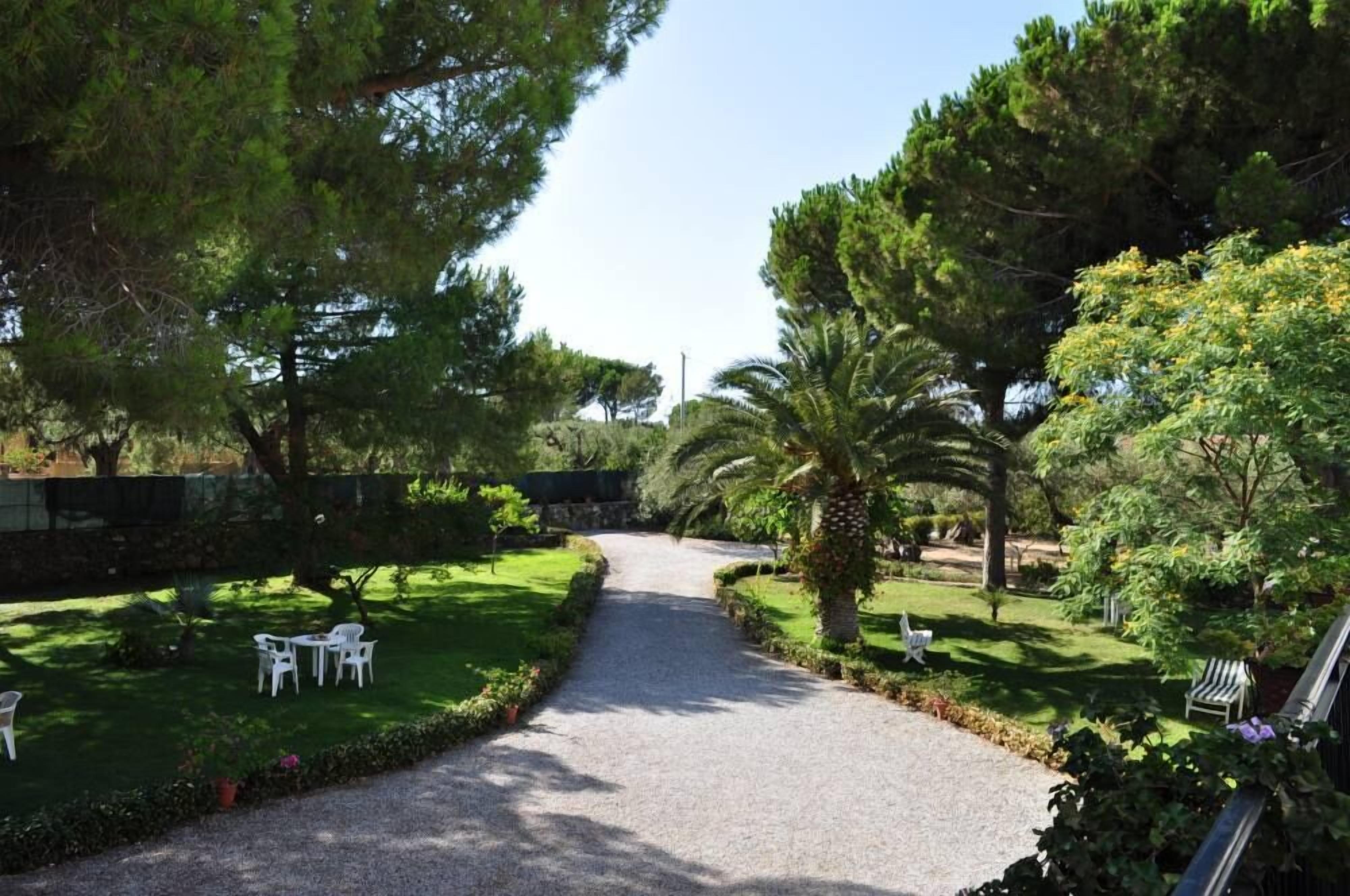 Un camino en el jardín con sillas y mesas blancas, rodeado de exuberante follaje y árboles.