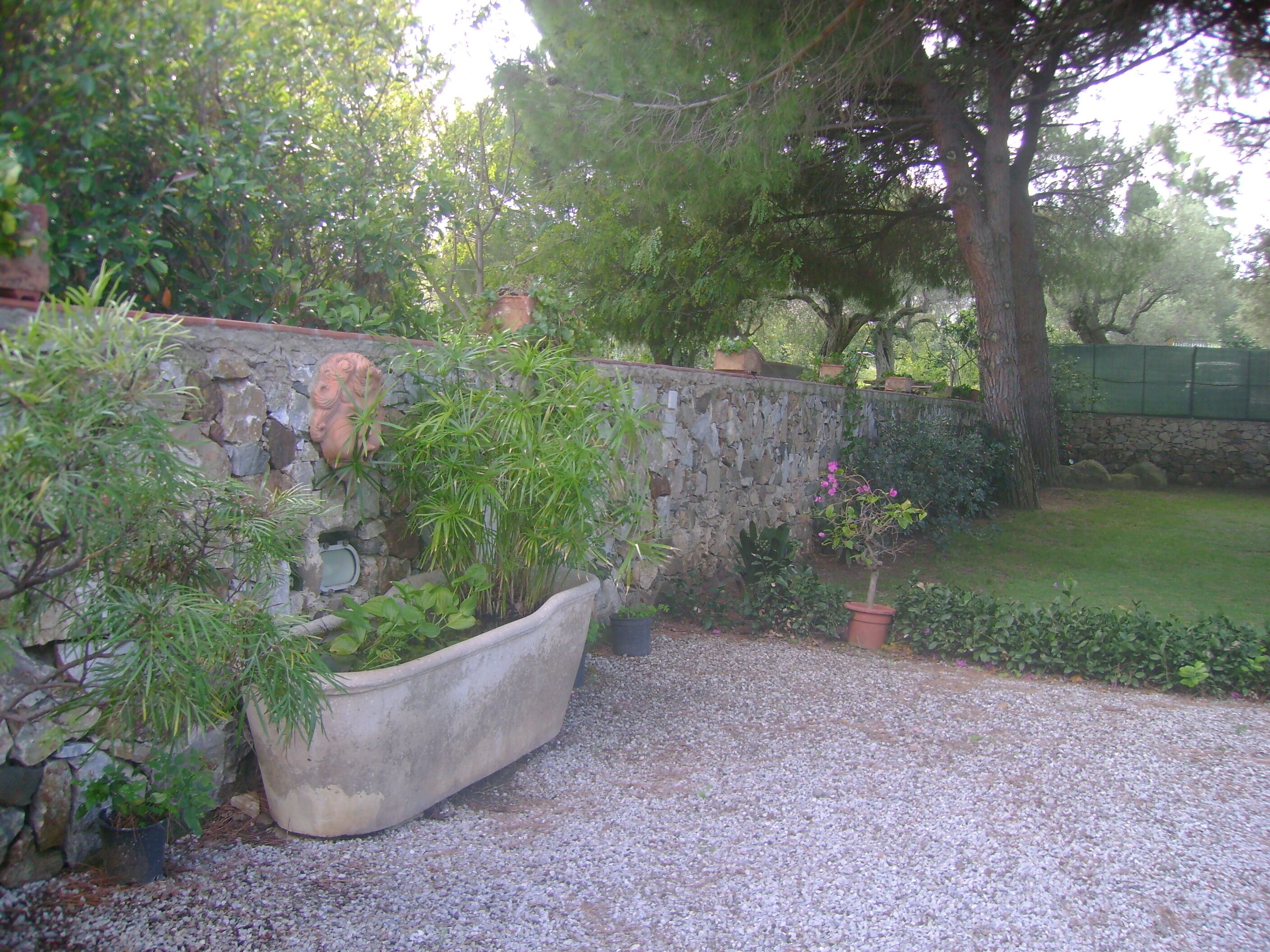 A garden with a stone wall, a large planter, and a small tree.