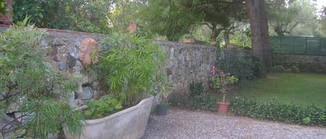 A garden with a stone wall, a large planter, and a small tree.