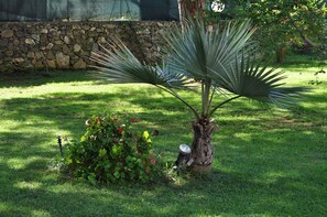 Jardines del alojamiento