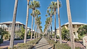 A pathway lined with tall palm trees leading to a building with a balcony. - Southside of 30A, Gated beachfront pool sleeps 7 , 2 min walk to Rosemary, NEW ! (seacrest beach)