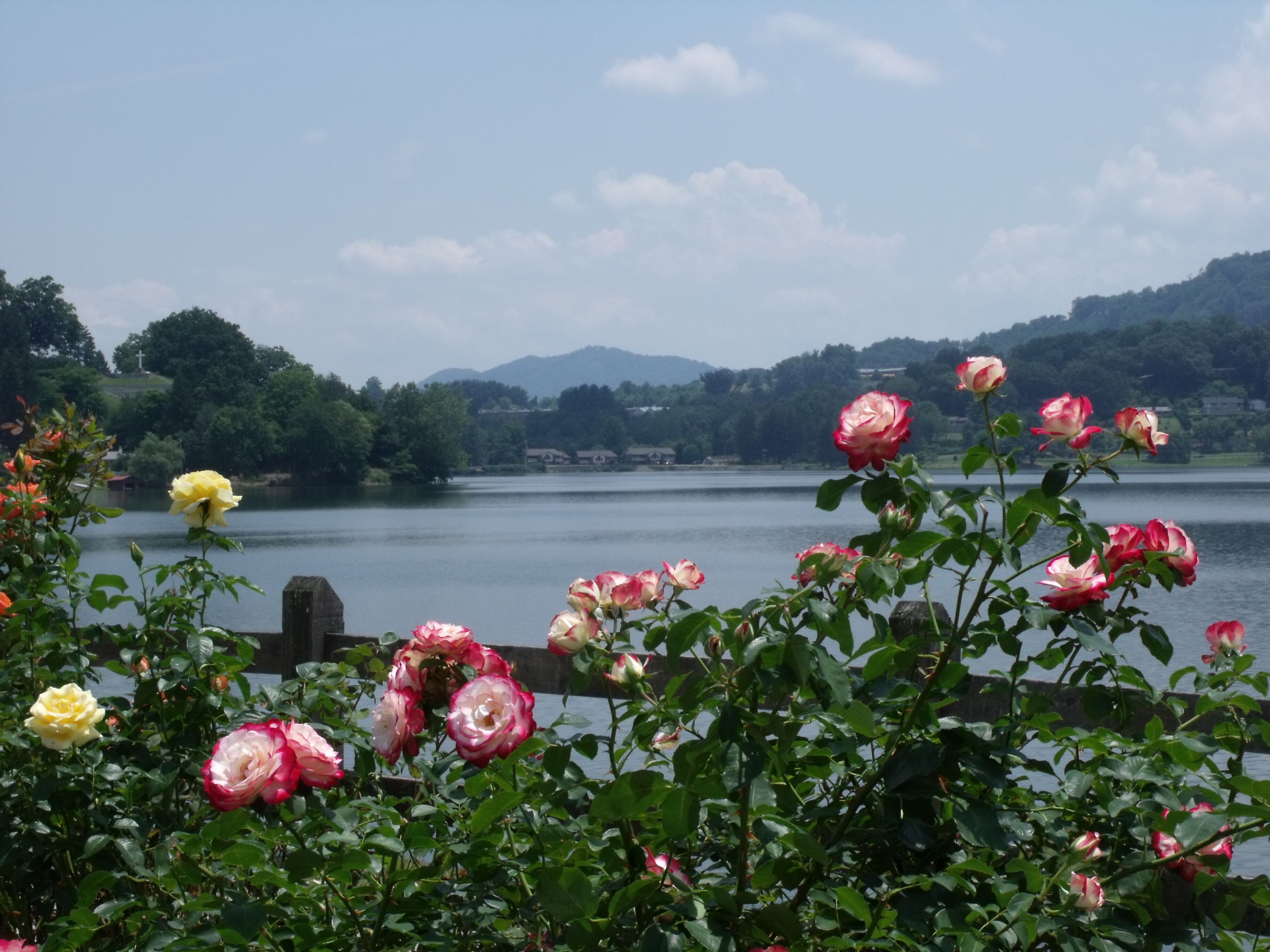 Lake Junaluska, Beautiful mountain, lake & golf course views