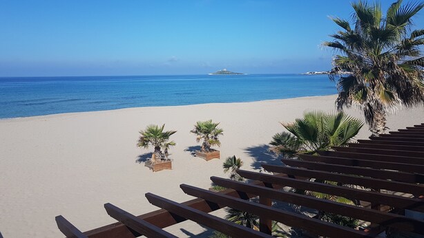 A beach view with a wooden deck, palm trees, and a clear blue sky.