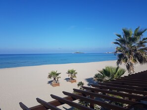 Une vue sur la plage avec une terrasse en bois, des palmiers et un ciel bleu dégagé.