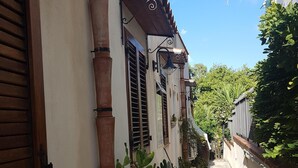 A narrow alleyway with a white building featuring wooden shutters and a tiled roof. There are potted plants and a cactus along the path.