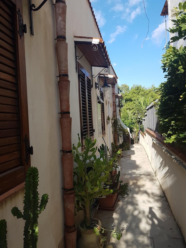 Une ruelle étroite bordée d’un bâtiment blanc, doté de volets en bois et d’un toit recouvert de tuiles. Des plantes en pot et un cactus sont disposés le long du chemin.