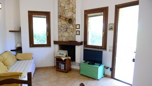 Una habitación con una cama, televisión, chimenea y un armario verde.