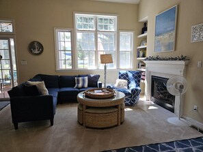 TV, fireplace, DVD player, books