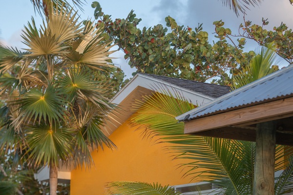 A true beach house