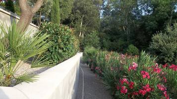 Jardin en allée