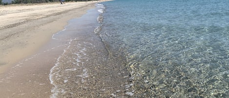 On the beach, sun-loungers