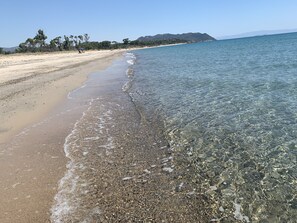 Accommodatie ligt op het strand, ligstoelen
