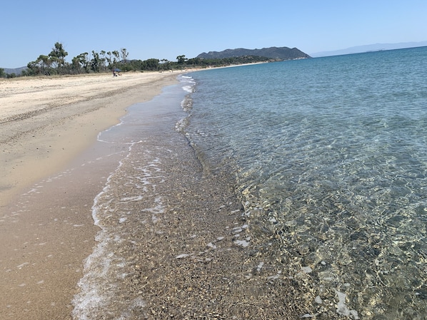Plage, chaises longues