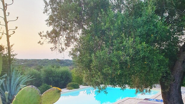 A pool area with a tree and cacti. - 'Soul of Puglia' - A Rural Gem 3BR/3BA, A/C, WiFi, Hilltop w/ POOL & Views (Ostuni / Brindisi)