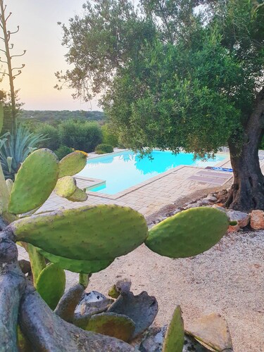 'Soul of Puglia' - A Rural Gem 3BR/3BA, A/C, WiFi, Hilltop w/ POOL & Views
