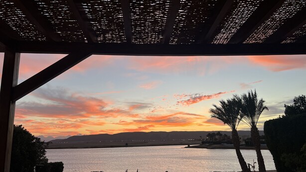 A view of a sunset over a body of water, with a pool and palm trees in the foreground.