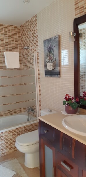 Combined shower/tub, hair dryer, towels, soap