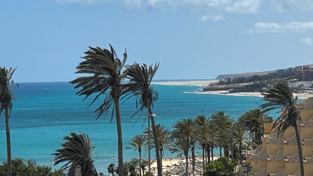A coastal view with palm trees, a beach, and a building with balconies overlooking the sea. - Excl. new villa with herlichen panoramic sea views over the Atlantic Ocean off Costa Calma (Costa Calma)
