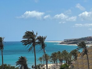 Meeresblick mit Palmen, einem Strand und einem Gebäude mit Balkonen.