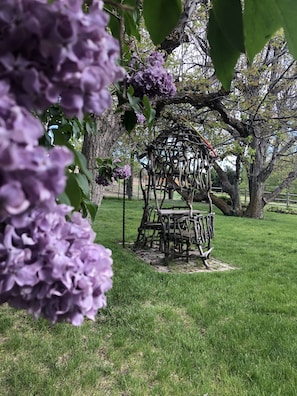 Property grounds - A Relaxing Place To Have Fun In The Sun!  (Yakima)