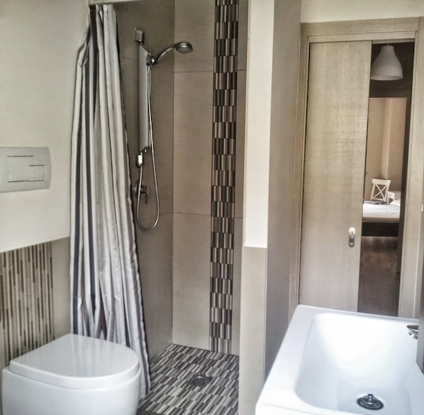 Shower, hair dryer, bidet, towels