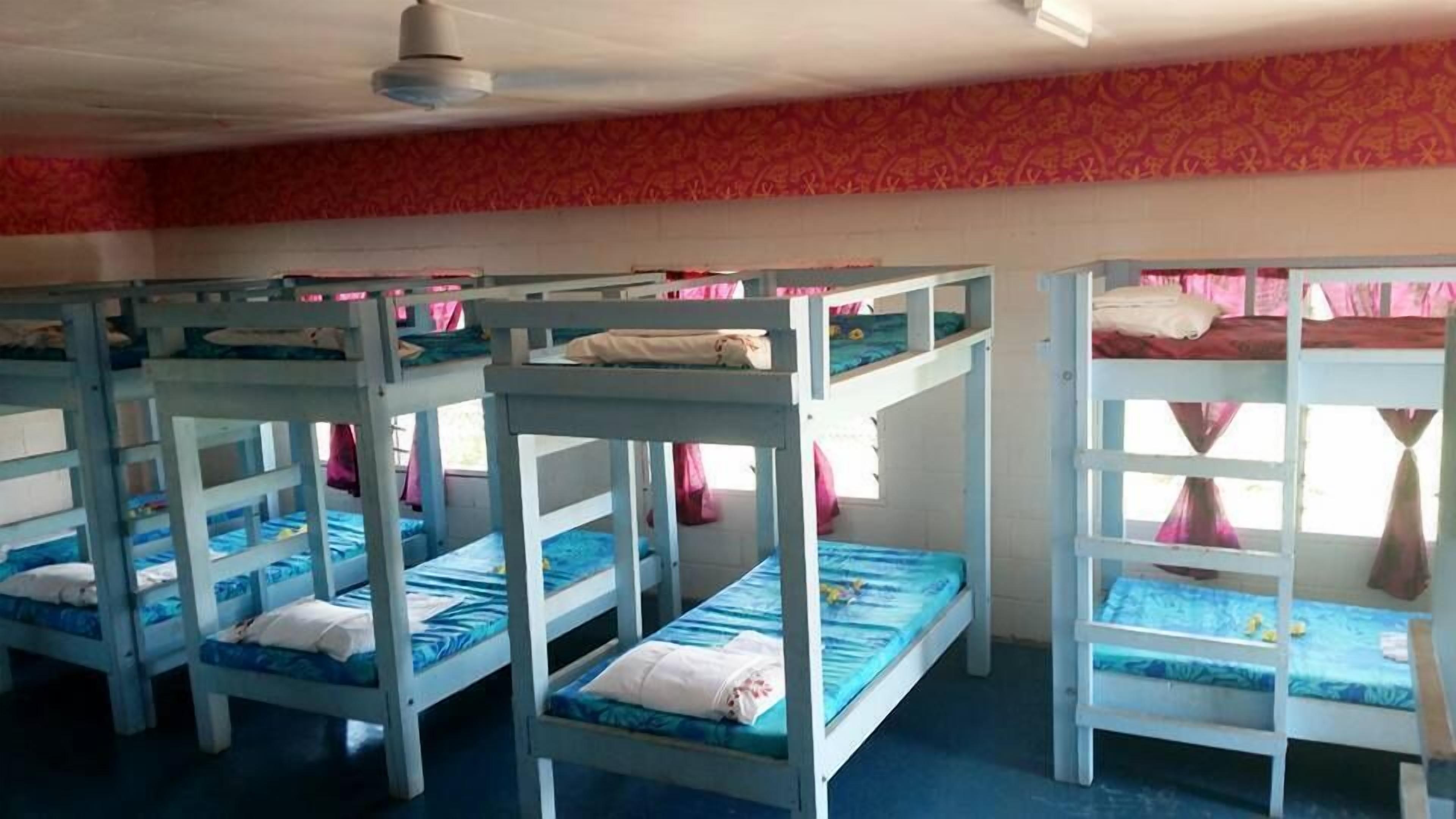 Bunk beds in a room with a patterned wall and a ceiling fan.