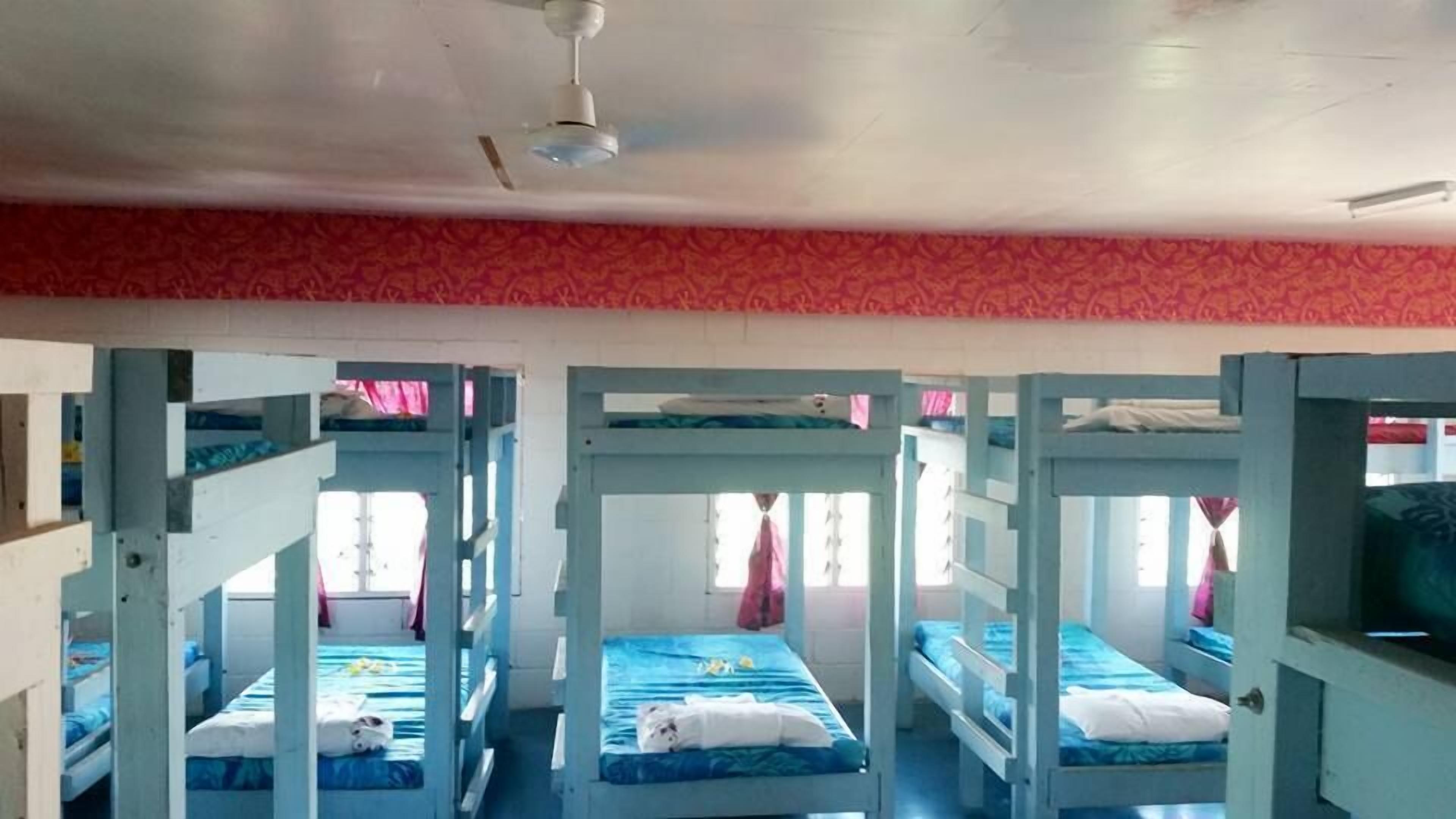 A dormitory room with bunk beds, a ceiling fan, and a patterned wall.