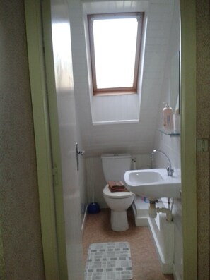 Shower, hair dryer, towels, toilet paper